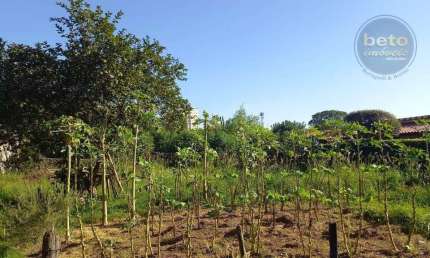 Terreno à venda, 1500 m² por R$ 900.000,00 - Vila Padre Bento - Itu/SP