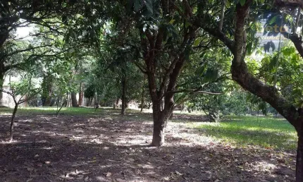 Chácara à venda, 4782 m² por R$ 650.000,00 - Chácaras Reunidas Ipê - Itu/SP