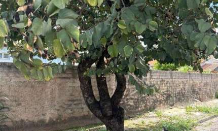 Terreno à venda na Rua José Egydio da Fonseca, Jardim Faculdade, Itu