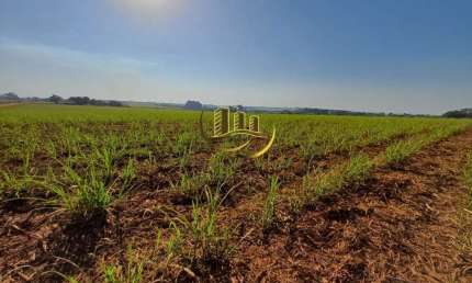 Terreno à venda em Nova Odessa-SP, bairro Jardim das Palmeiras I, com 48.400m² de área! Aproveite essa oportunidade única!