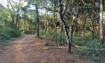 Chácara Condomínio para Venda em Esmeraldas, Santa Cecilia