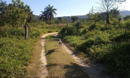 Fazenda para Venda em Cachoeira da Prata, Área Rural, 2 dormitórios, 1 banheiro