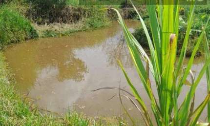Chácara para Venda em Contagem, Retiro, 2 dormitórios, 1 banheiro