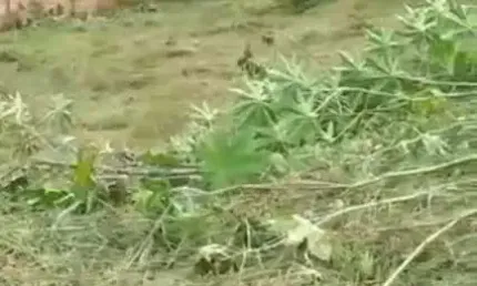 Terreno à venda no Novo Retiro, Esmeraldas 