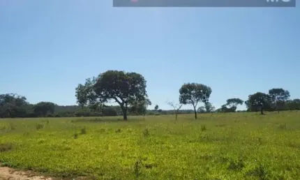 Fazenda para Venda em Santana de Pirapama, Área Rural