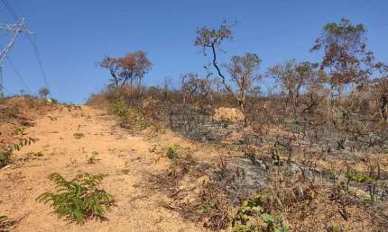 Chácara / sítio à venda no Campo Alegre, Contagem 