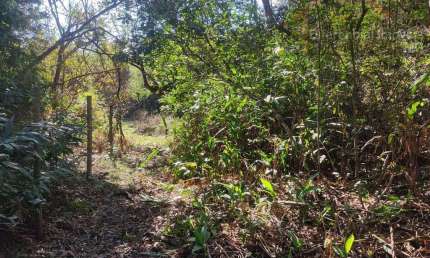 Chácara / sítio à venda no Campo Alegre, Contagem 