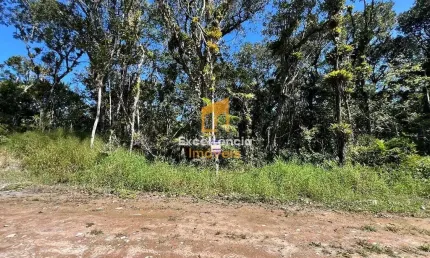 Terreno à venda na Praia Grande, Matinhos 
