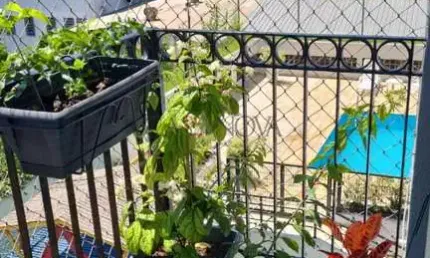 Apartamento com 2 quartos à venda na rua doutor nogueira martins, 634, saúde, são paulo, 60 m2 por r$ 540.000