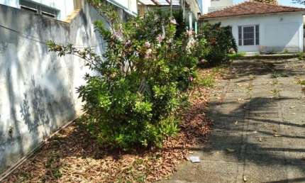 Terreno comercial à venda na Rua Patuaí, 87, Vila do Bosque, São Paulo por R$ 1.250.000