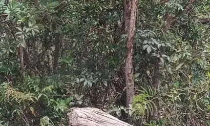 Terreno à venda em são josé de almeida, jaboticatubas , 1000 m2 por r$ 70.000