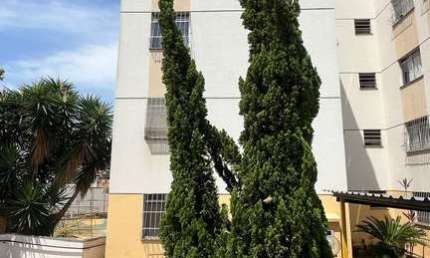 Apartamento com 2 quartos à venda na Rua Erva Mate, Piratininga (Venda Nova), Belo Horizonte, 45 m2 por R$ 215.000