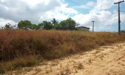 Terreno à venda, 504 m² por R$ 50.000,00 - Jardim Califórnia - Araruama/RJ