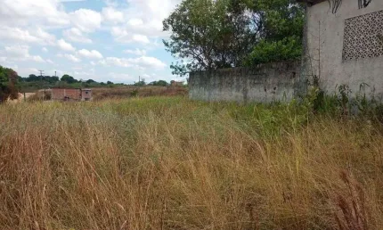 Terreno à venda, 504 m² por R$ 50.000 - Jardim Califórnia - Araruama/Rio de Janeiro