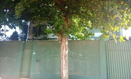 Casa com 4 dormitórios à venda, 360 m² por R$ 800.000,00 - Ponte dos Leites - Araruama/RJ