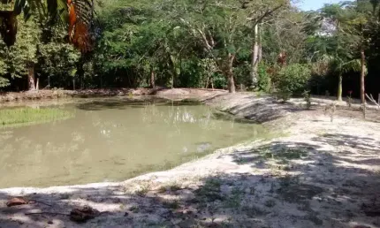 Sítio com 3 dormitórios à venda, 15000 m² por R$ 690.000,00 - Morro Grande - Araruama/RJ