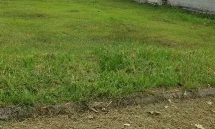Terreno à venda, 360 m² por R$ 65.000,00 - Ponta Negra - Maricá/RJ