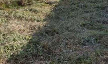 Terreno à venda, 432 m² por R$ 180.000,00 - Praia do Barbudo - Araruama/RJ