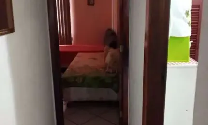 Apartamento com 2 dormitórios à venda, 65 m² por R$ 480.000,00 - Vila Nova - Cabo Frio/RJ