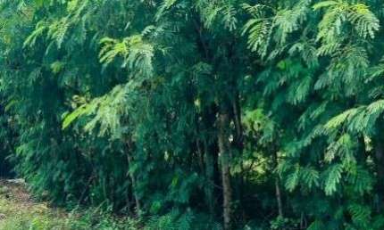 Terreno à venda, 378 m² por R$ 300.000 - Centro - Araruama/RJ