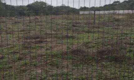 Sítio à venda, 12500 m² por R$ 230.000,00 - Alto Do Jacú (Sambaetiba) - Itaboraí/RJ
