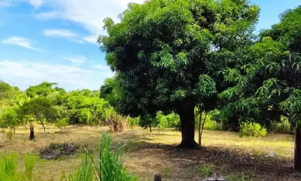 Chácara com 1 dormitório à venda, 6500 m² por R$ 250.000,00 - Itatiquara - Araruama/RJ