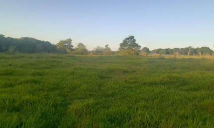 Terreno à venda, 100000 m² por R$ 1.000.000,00 - Morro Grande - Araruama/RJ