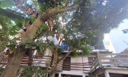 Casa com 6 quartos à venda na Rua Barão do Rio Branco, 337, Passagem, Cabo Frio