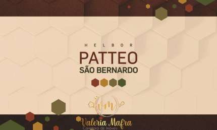 Apartamento para Venda em São Bernardo do Campo, Planalto, 3 dormitórios, 1 suíte, 2 banheiros, 2 vagas