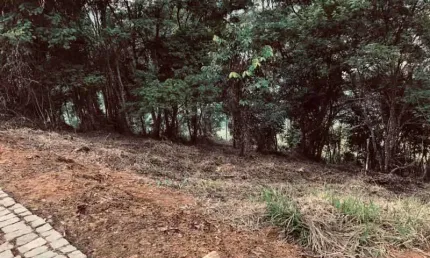 Terreno em condomínio fechado à venda na Rua Prefeito Luiz Penna, Novo Horizonte, Juiz de Fora, 2500 m2 por R$ 180.000