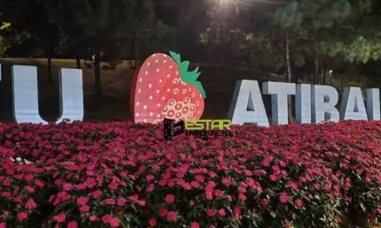 Terreno à venda, 4500 m² por R$ 450.000 - Jardim Estância Brasil - Atibaia/SP