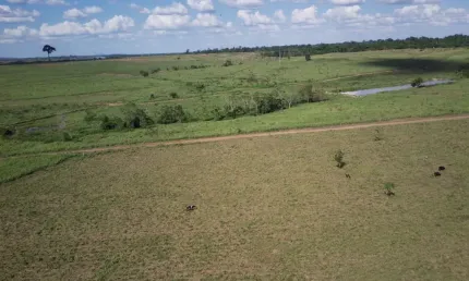 Fazenda Rondônia Alvorada do Oeste , região central do Estado