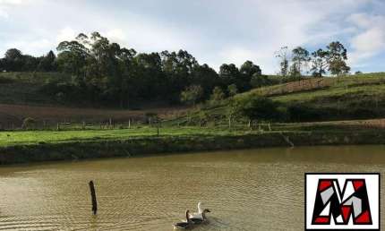 Terreno à venda em Campo Largo, Jarinu 