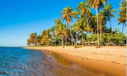 Lotes no condomínio piscinas naturais praia do forte