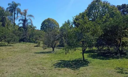Chácara / sítio à venda no Forqueta, Caxias do Sul 