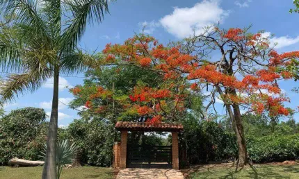 Sítio com 4 dormitórios à venda, 24200 m² por R$ 3.000.000,00 - Parque da Grama - Indaiatuba/SP