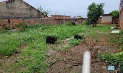 Excelente Terreno à venda, 360 m² por R$ 480.000 - Jardim Juliana - Indaiatuba/SP