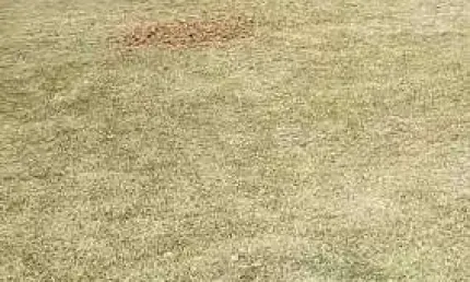 Terreno em condomínio fechado à venda na Rua Uvaia, Jardim Residencial Alto de Itaici, Indaiatuba