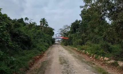Terreno Lote inteiro á venda no Golfinho / Caraguatatuba - SP