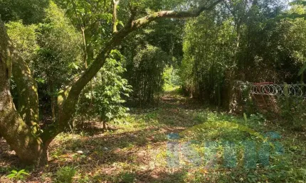 Chácara em Barão Geraldo, 2 dorm., 2 wcs, piscina, churrasqueira e muita área verde