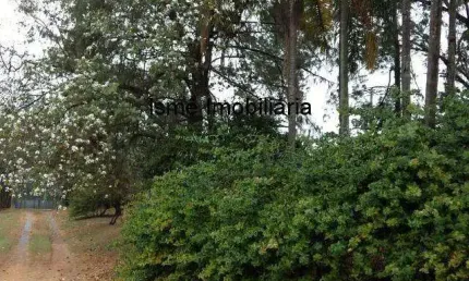 Terreno comercial à venda no Barão Geraldo, Campinas 