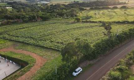 Terreno à venda, 5000 m² por R$ 295.000.000,00 - Bairro Roque - Pirassununga/SP