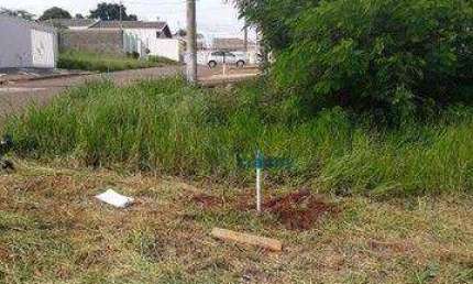 Terreno à venda, 331 m² por R$ 318.000,00 - Jardim dos Calegaris - Paulínia/SP