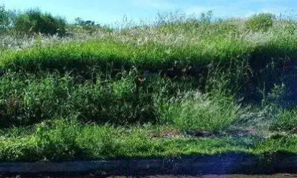 Lote urbano para venda localizado no efapi em chapecó / sc