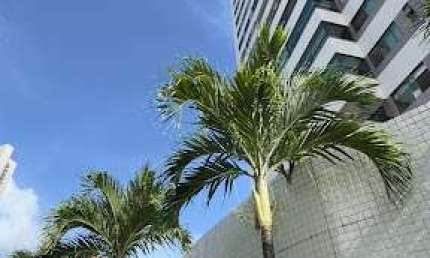 Vende-se apartamento amplo com 3 suites, área comum completa no bairro Rosarinho