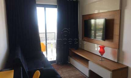 Apartamento com 1 quarto para alugar na Rua Doutor José Milton de Freitas, Jardim Walkíria, São José do Rio Preto