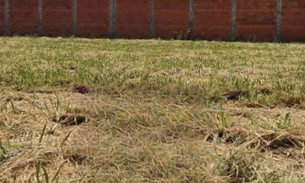Terreno à venda no Centro, Olímpia 