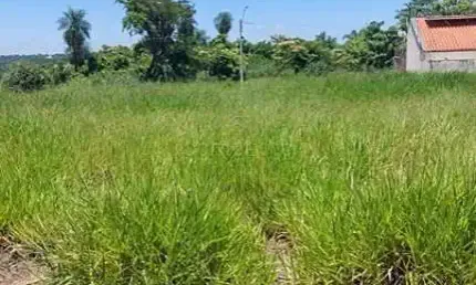 Terreno à venda no Parque Vila Nobre, São José do Rio Preto 