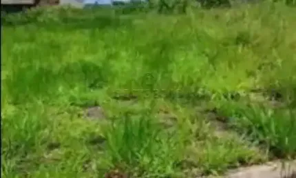 Terreno à venda no Maisparque Rio Preto, São José do Rio Preto 