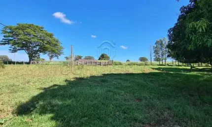 Chácara / sítio com 4 quartos à venda no Centro, Santa Albertina 